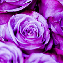 找个靠谱代理的DDOS网页端平台